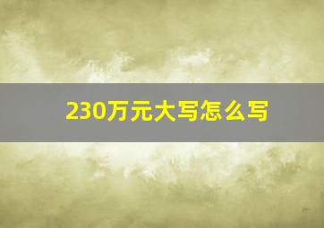 230万元大写怎么写