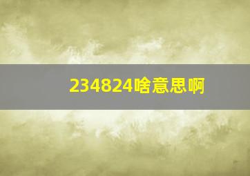 234824啥意思啊