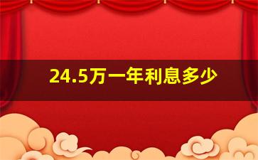 24.5万一年利息多少