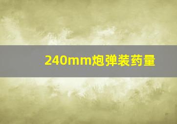 240mm炮弹装药量