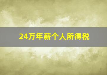 24万年薪个人所得税