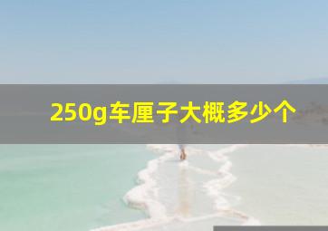 250g车厘子大概多少个