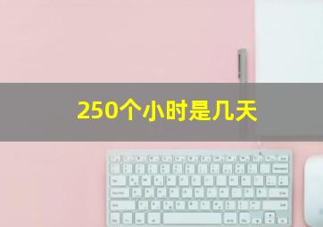 250个小时是几天