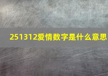 251312爱情数字是什么意思