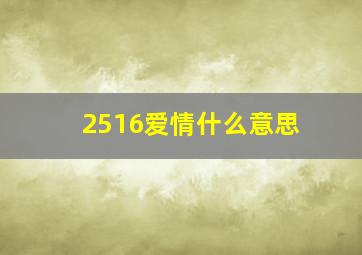 2516爱情什么意思