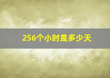 256个小时是多少天