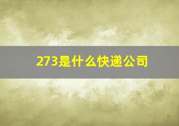 273是什么快递公司