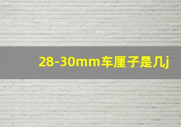 28-30mm车厘子是几j