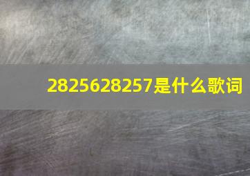 2825628257是什么歌词