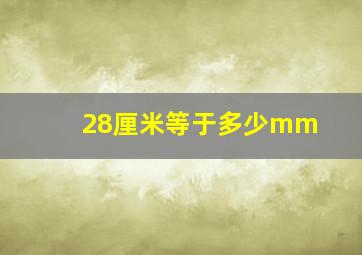 28厘米等于多少mm