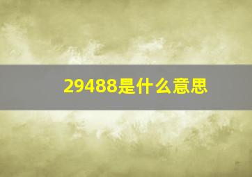 29488是什么意思