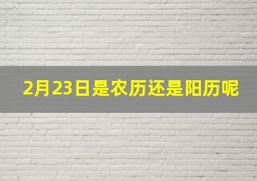 2月23日是农历还是阳历呢