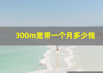 300m宽带一个月多少钱