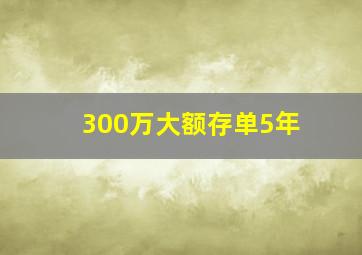 300万大额存单5年