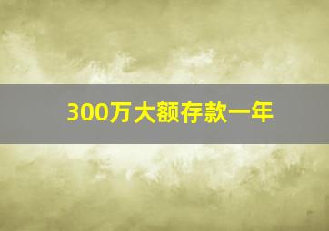 300万大额存款一年