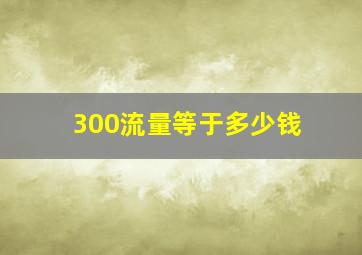 300流量等于多少钱