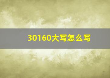 30160大写怎么写