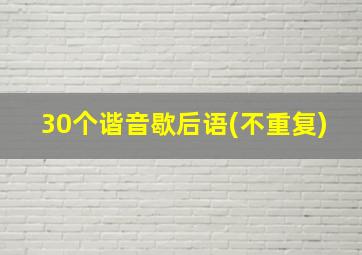 30个谐音歇后语(不重复)