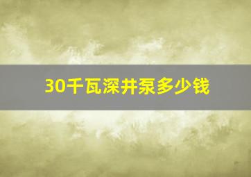 30千瓦深井泵多少钱