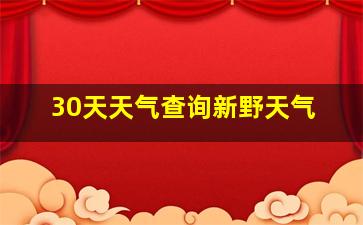 30天天气查询新野天气