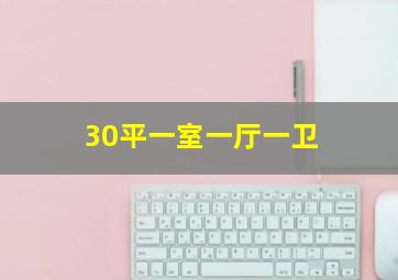 30平一室一厅一卫