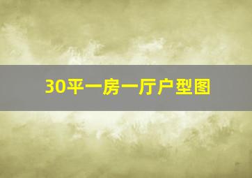 30平一房一厅户型图