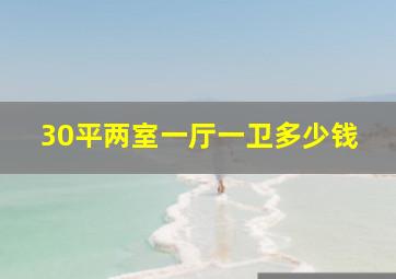 30平两室一厅一卫多少钱