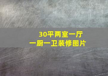 30平两室一厅一厨一卫装修图片