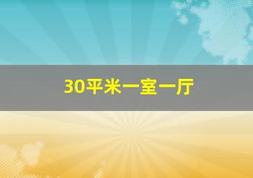 30平米一室一厅