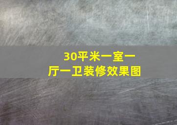 30平米一室一厅一卫装修效果图