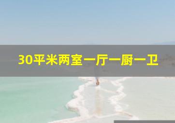 30平米两室一厅一厨一卫