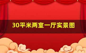 30平米两室一厅实景图