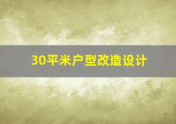 30平米户型改造设计