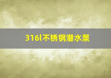 316l不锈钢潜水泵