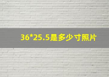 36*25.5是多少寸照片