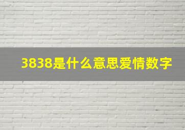 3838是什么意思爱情数字