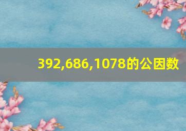 392,686,1078的公因数