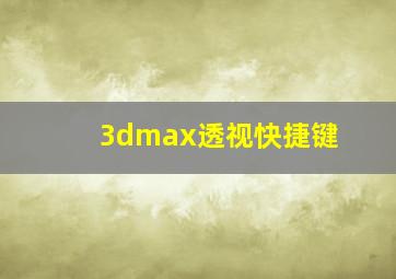 3dmax透视快捷键