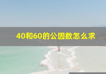 40和60的公因数怎么求