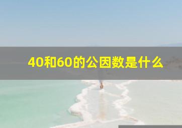 40和60的公因数是什么