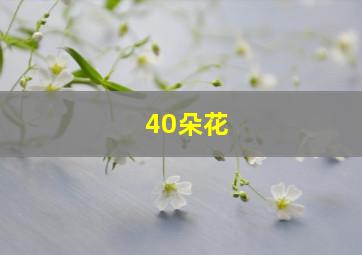 40朵花