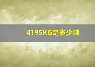 4195KG是多少吨