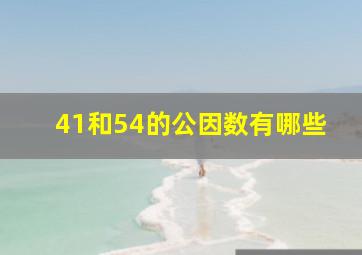 41和54的公因数有哪些