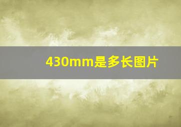 430mm是多长图片