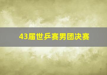 43届世乒赛男团决赛