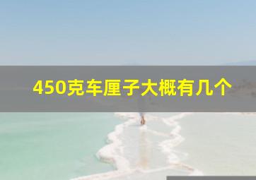 450克车厘子大概有几个