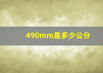 490mm是多少公分