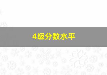 4级分数水平