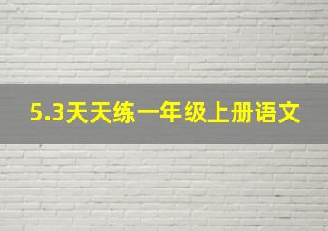 5.3天天练一年级上册语文