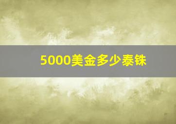 5000美金多少泰铢